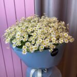 Букет Танацетум